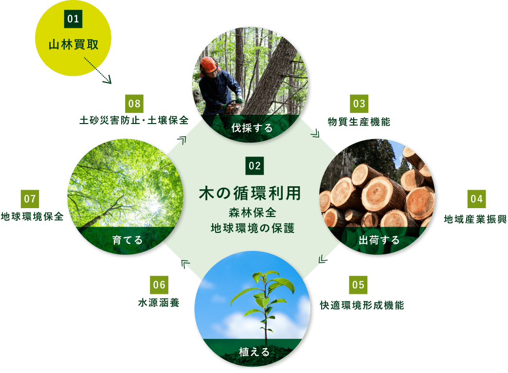 木の循環利用